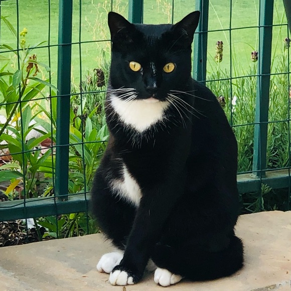 Meet your Posher, 𝒜𝚛ɪ𝔞 - Picture 2 of 4